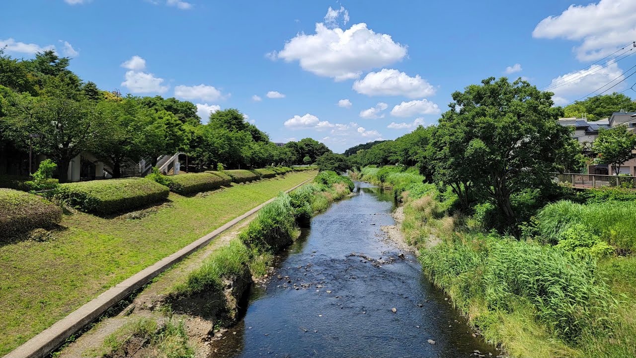 Live Tokyo Morning Walk