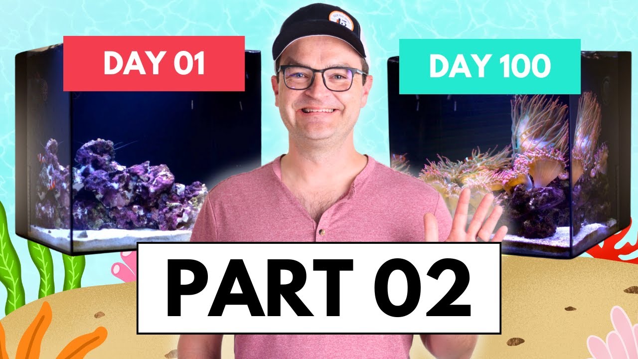 Part 02 How To Set Up A Saltwater Aquarium: The Cycle