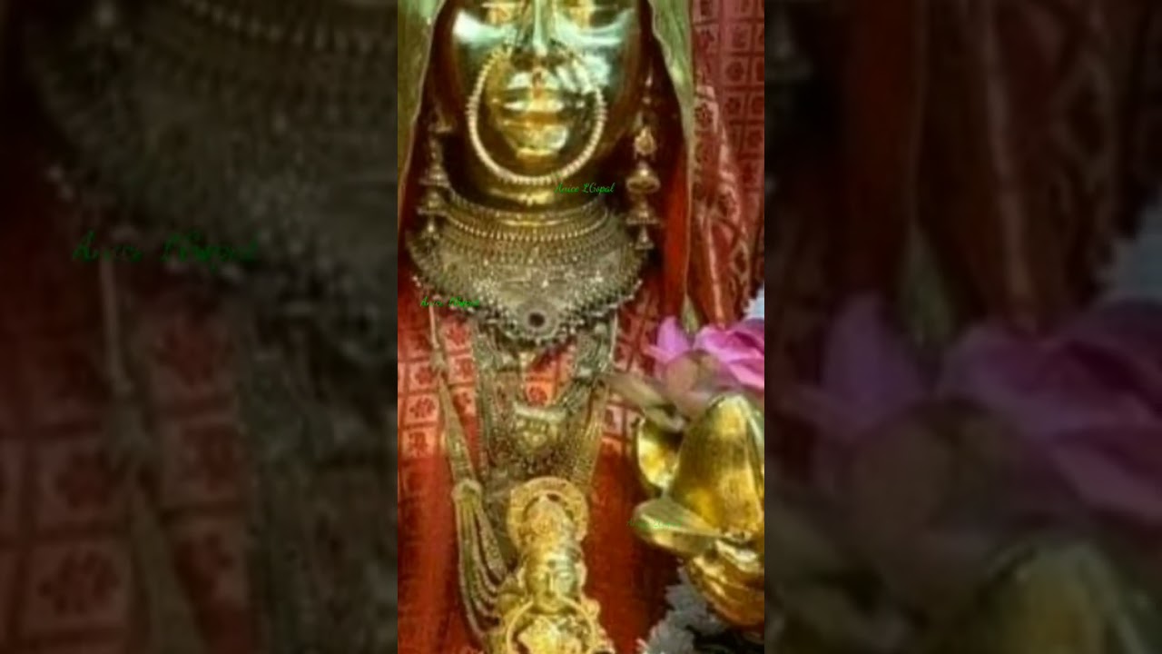 Shri Sheetla Mata ji Raat Darshan|| Gurgaon wali