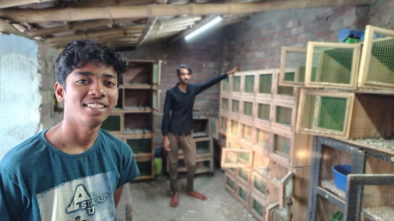  পাঁচ হাজার টাকায় ১৫ খোপর পায়রার ঢপ বিক্রি আছে।🏠🕊️