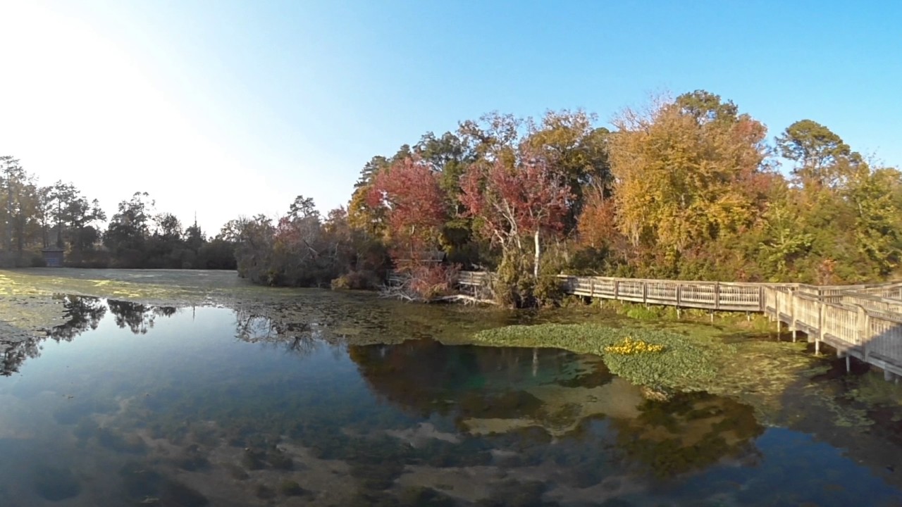 Magnolia Springs in 360! Filmed with Kodak Pixpro 360 4K.