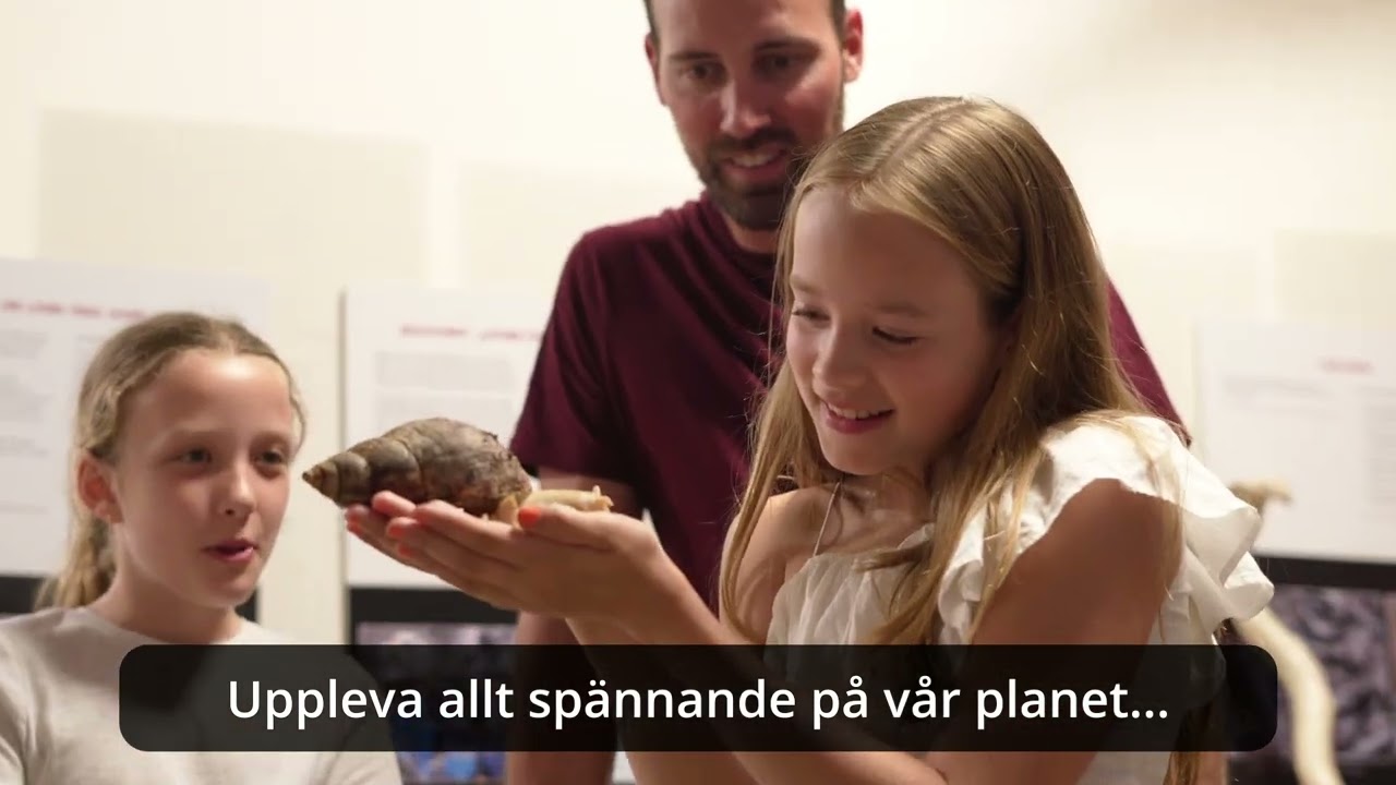 Upplevelsemuseet i Stockholm