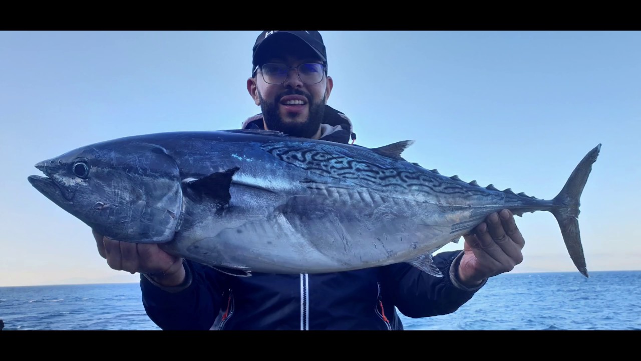 spinning tanger bacoreta 9kg