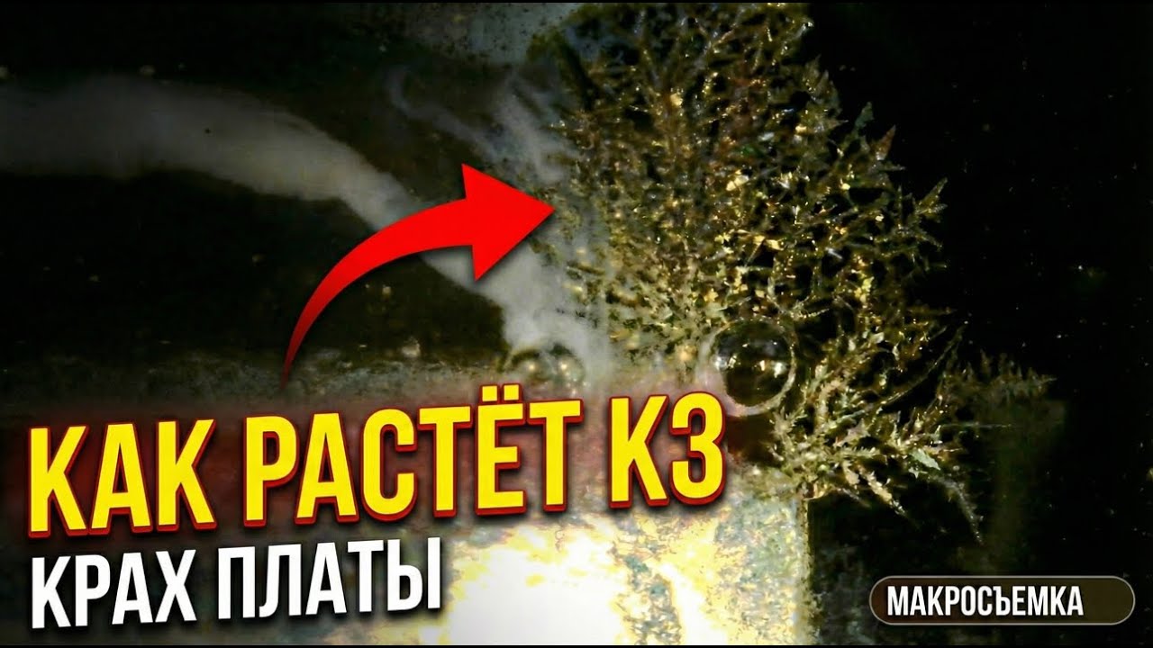 Это НЕ грязь! Как белый налёт убивает вашу плату (Макросъемка)