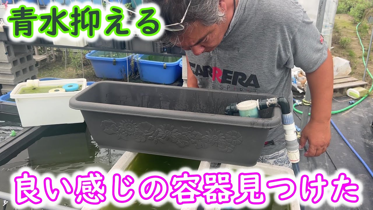 【めだか】良い感じのプランター見つけた。Ｂ型おやじ
