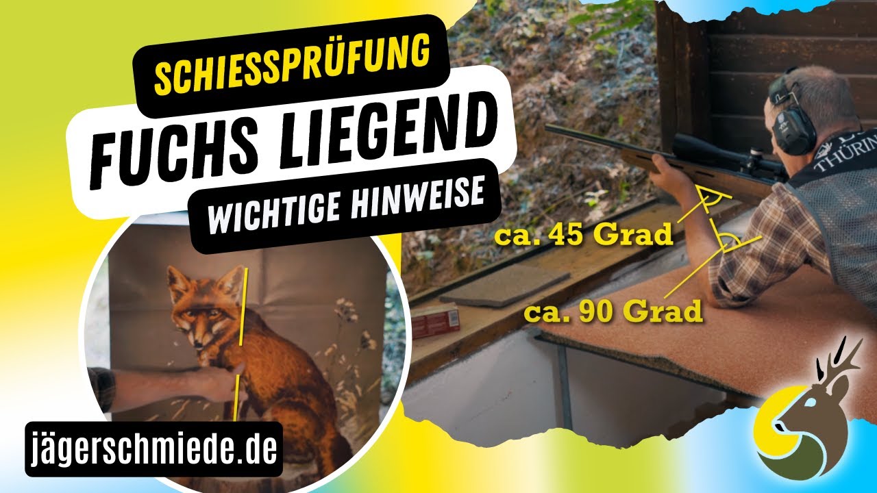 Fuchs liegend - Gut gewappnet f&uuml;r deine Schie&szlig;pr&uuml;fung! So klappt's mit dem Jagdschein!