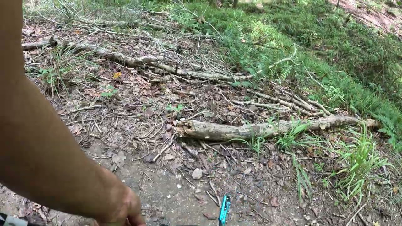 The Bluff Trail,  Harbison State Forest. [ Blue And Black Diamond Trail ]