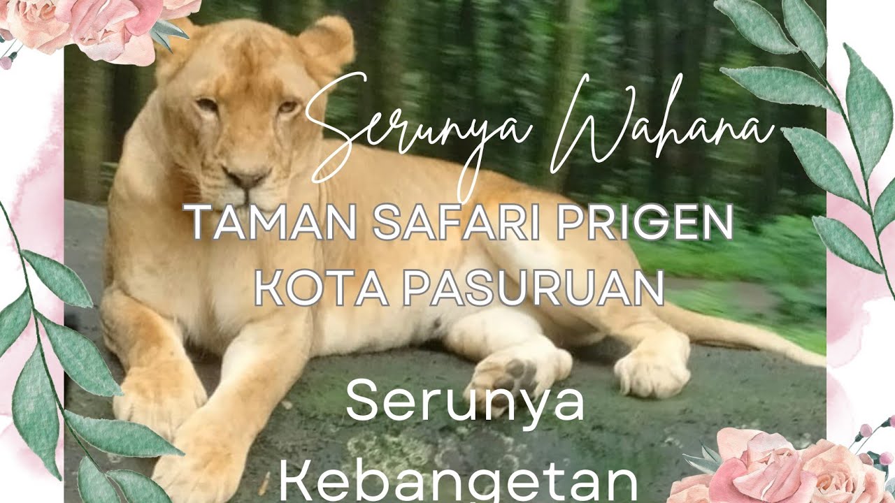 Perjalanan ke taman safari Prigen Pasuruan