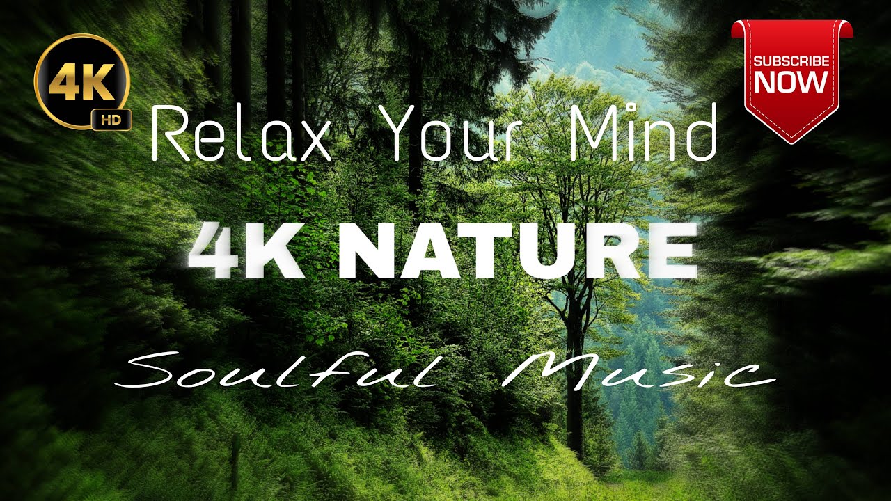 30 min 4K - Relaxation Nature  Video - Peaceful Relaxing Music -