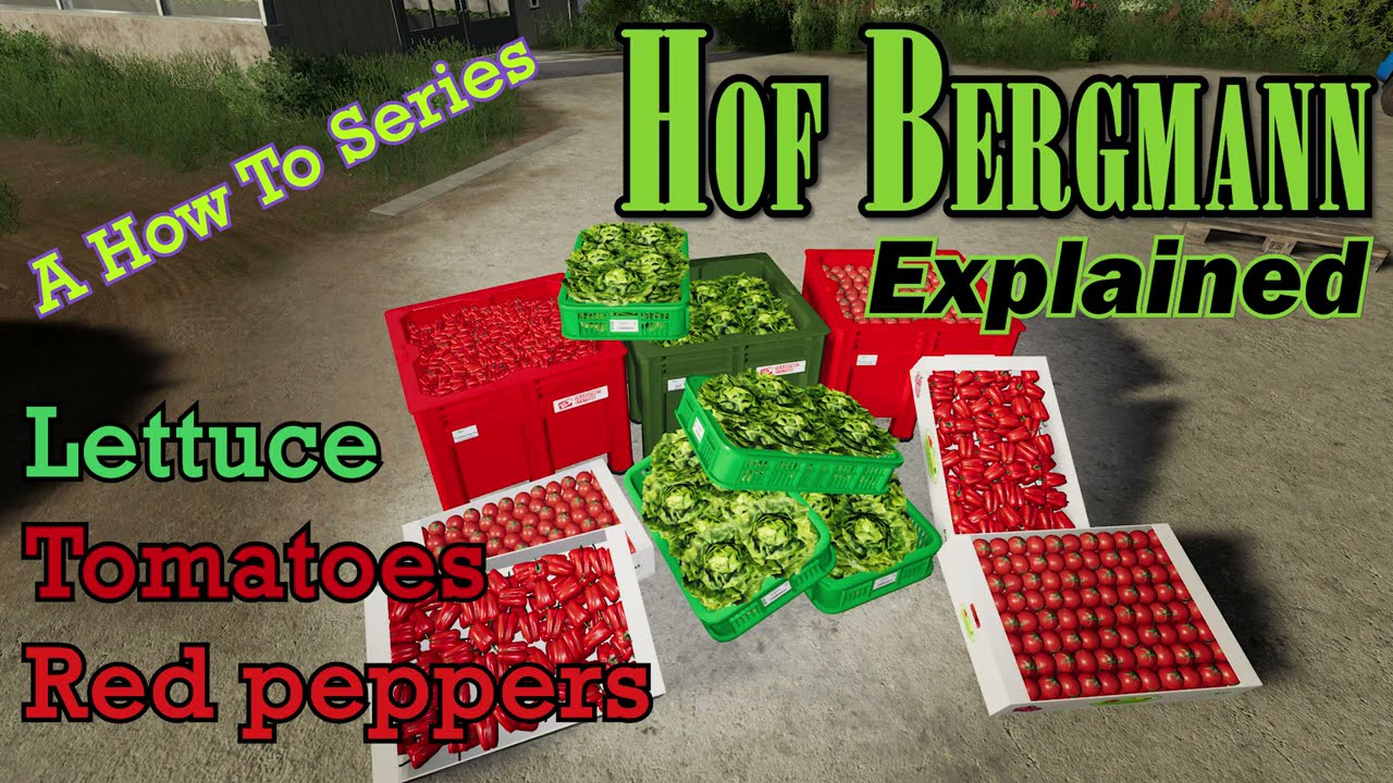 FS19 Hof Bergmann Explained 🥗 Lettuce 🍅 Tomatoes 🌶 Red Peppers   A How To Series