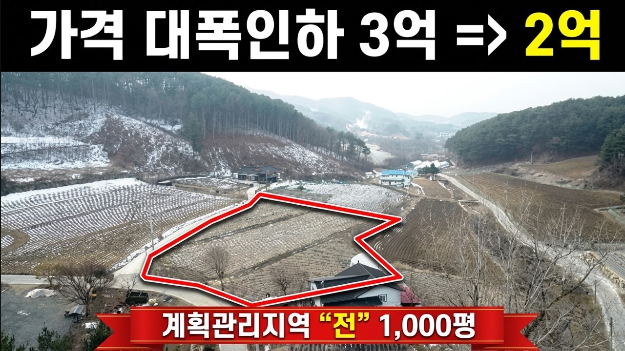 [급매물 토지]  3억 → 2억 대폭인하!   /  해발 550m 청정지역   /  계획관리지역 1,000평 급매물   /   강원도 횡성 [8356]