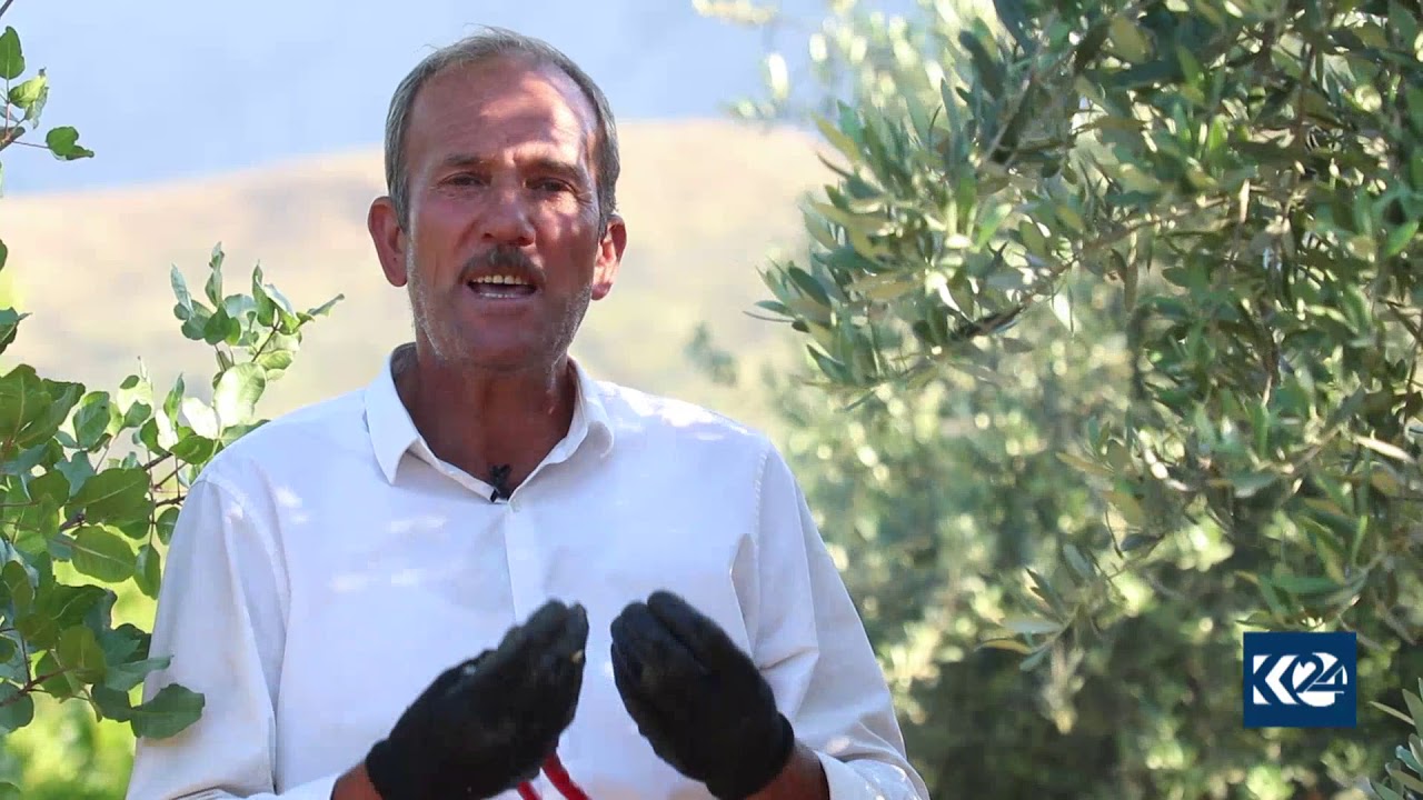 جووتیارێکی نموونەیی سێوسێنان ئەزموونێکی جیاوازی لە باخداری هەیە