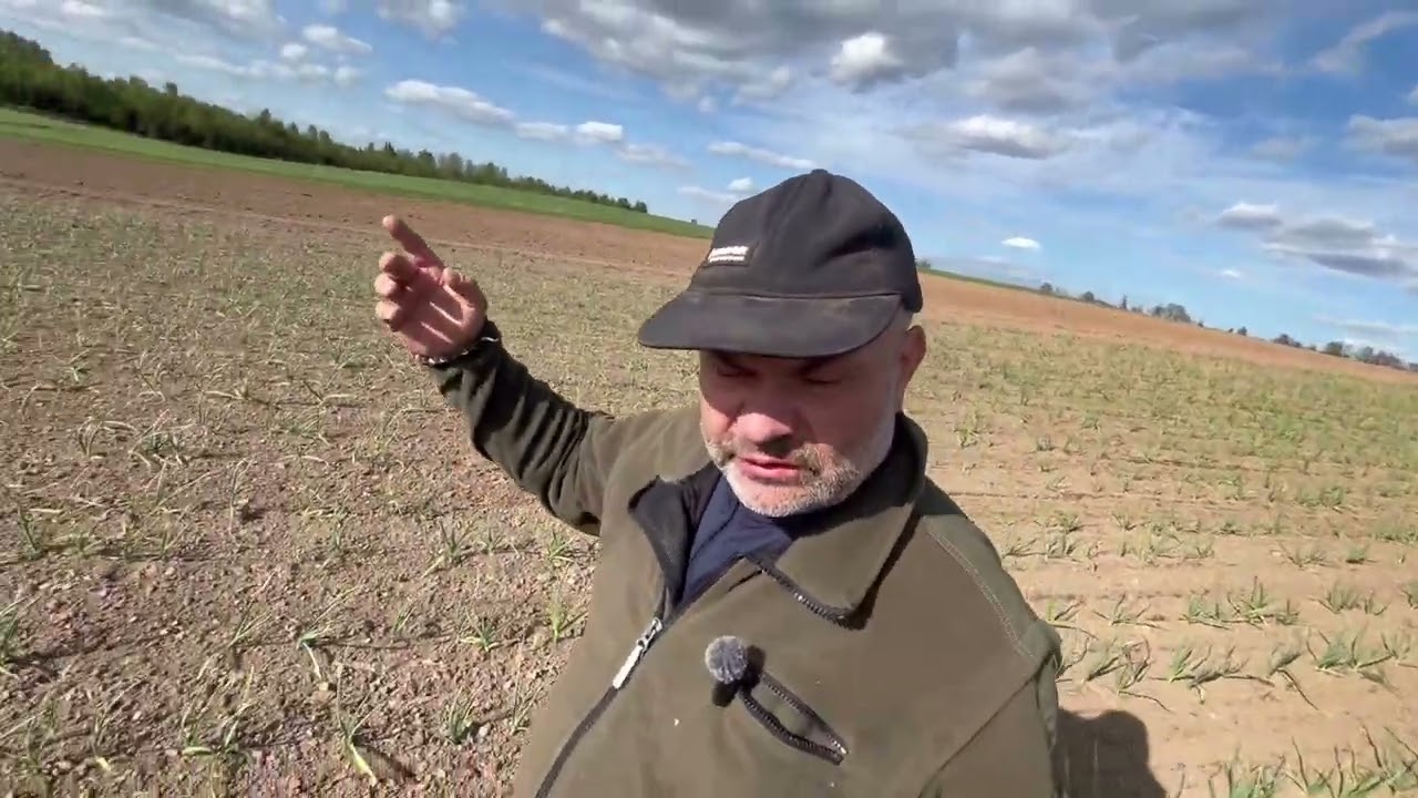 „Ražanų Ūkis“: Ne visi smidrai išgyveno, gelsta česnakų lapai, gandrų peštynės dėl kirmelyčių.