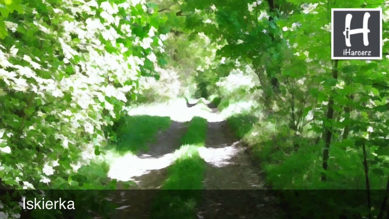 Iskierka - Piosenki harcerskie