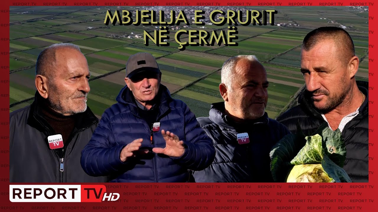 Mbjellja e grurit në Çermë l Veri Jug