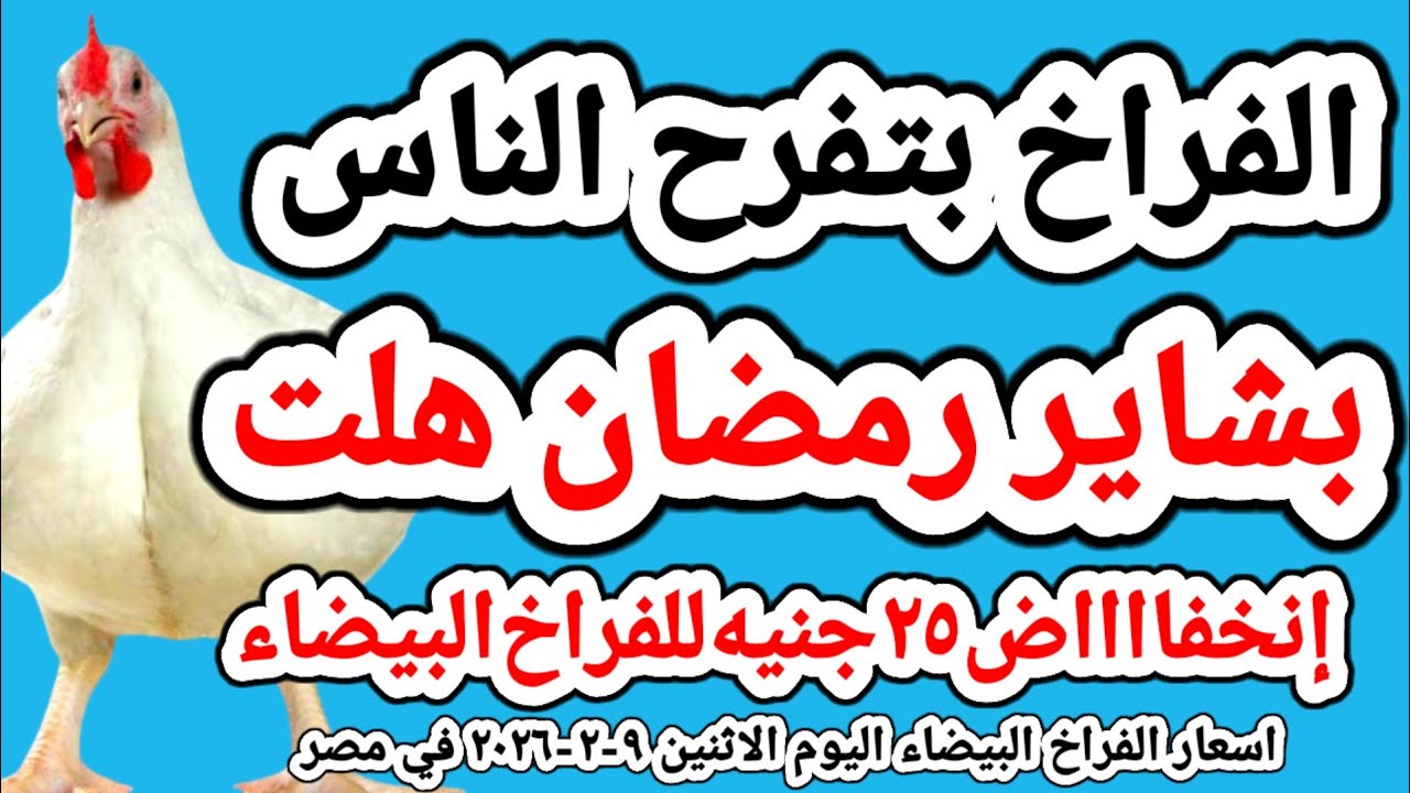 اسعار الفراخ البيضاء اليوم/ سعر الفراخ البيضاء اليوم الاثنين 2026/2/9 في مصر جمله وقطاعي