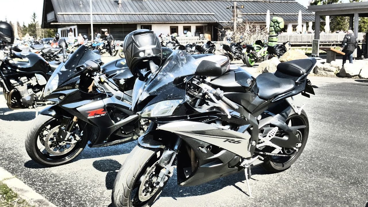 2019 Harz Netzkater