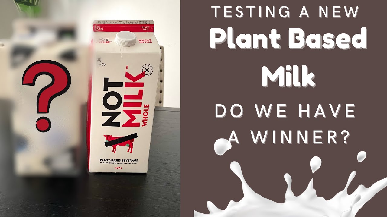 BEST plant based milk ever!! (Better than Not Milk and Silk Protein!)