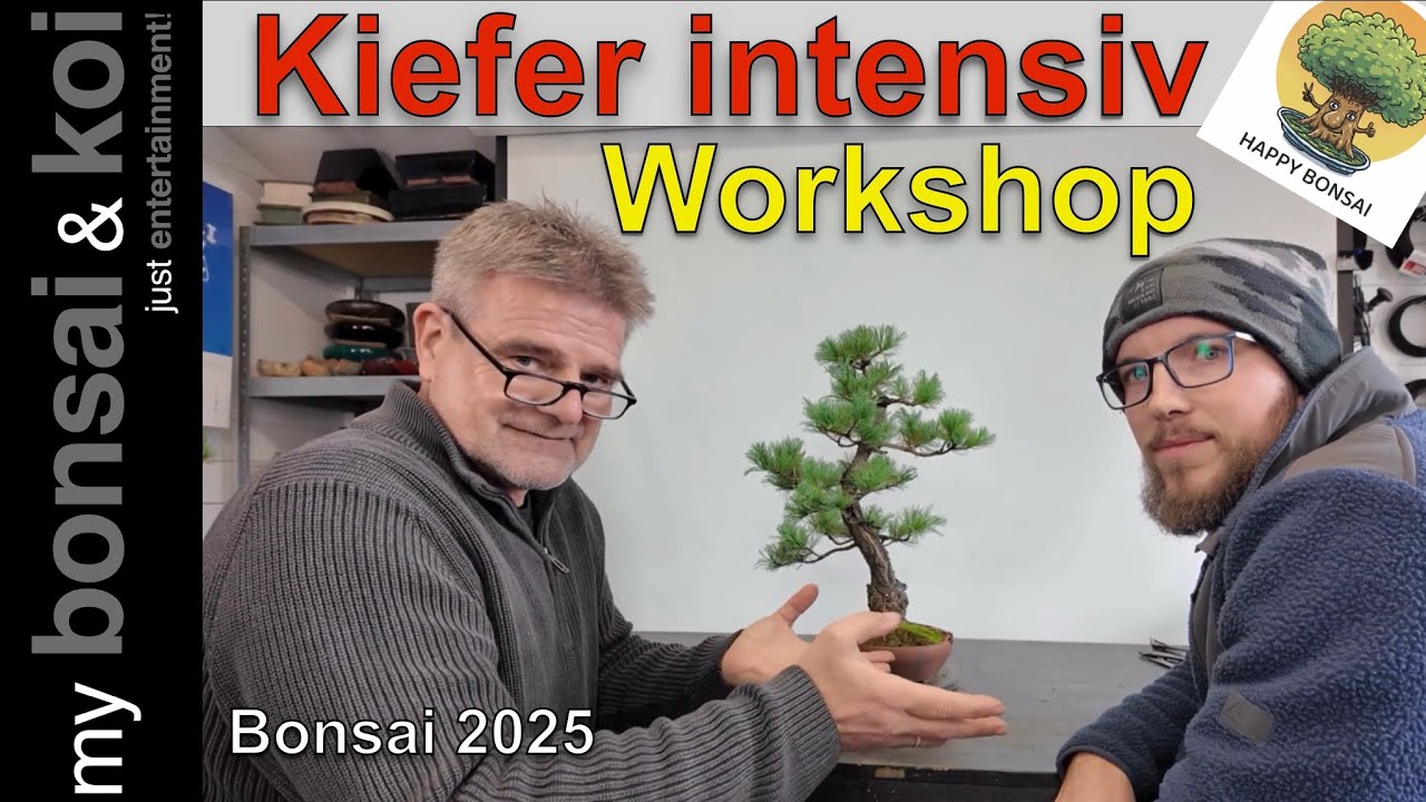 Bonsai 2025-44 - Kiefer intensiv - Workshop + Dennis = Happy Bonsai?