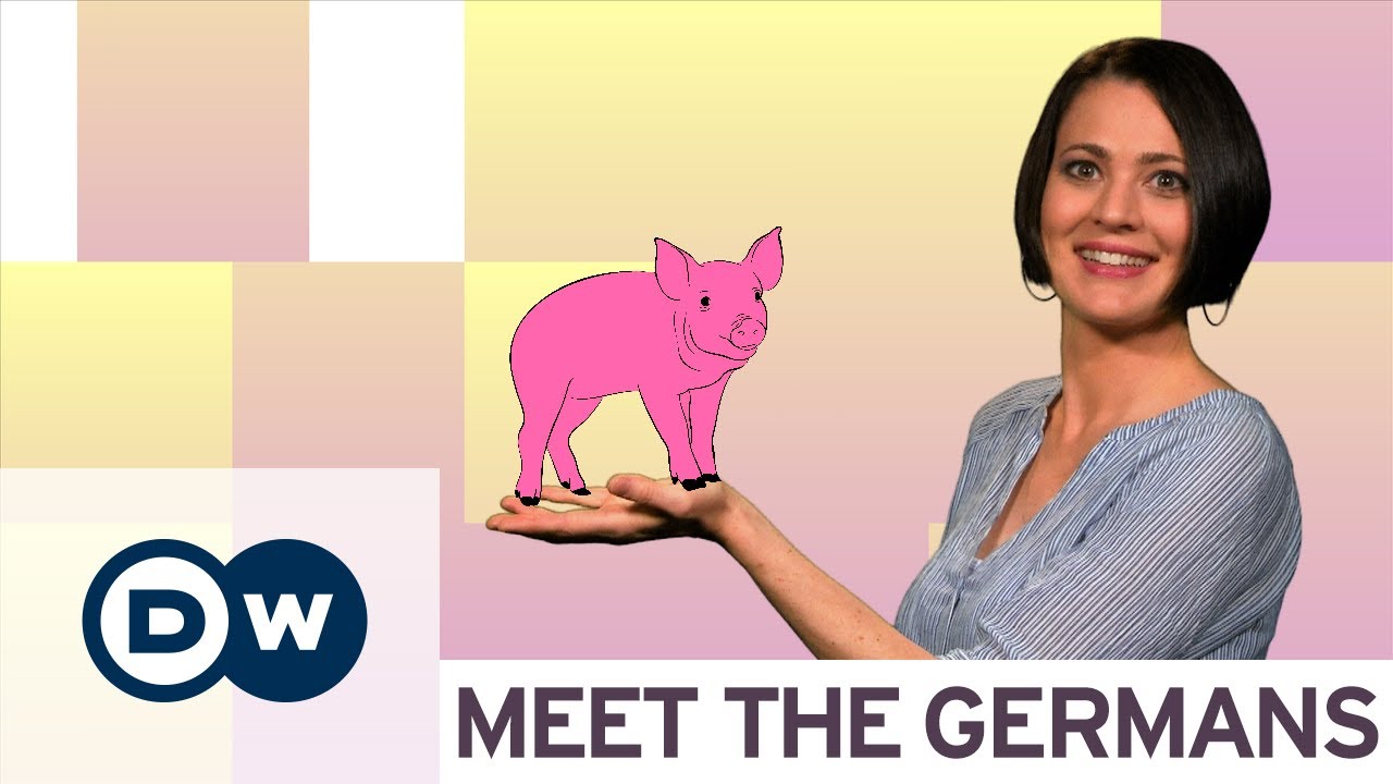 Schöne deutsche Redensarten mit Tieren | DW Deutsch