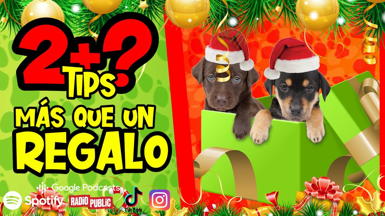Club Family Dogs \\ 5 Tips - Mas Que Un  Regalo