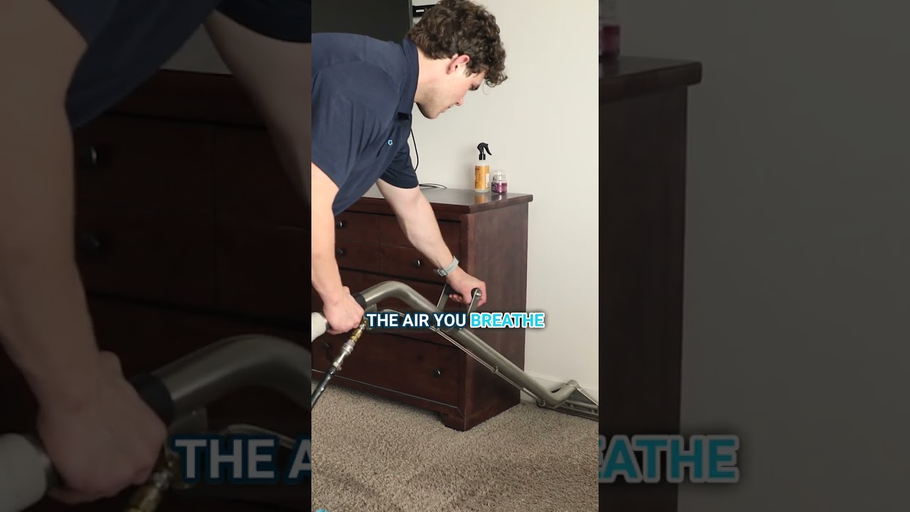 How Carpets Affect Allergies #shorts