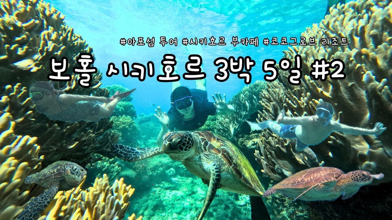 [여행브이로그]거북이를 꼭 보고 싶다면 여기를 가세요!!/아포섬투어/시키호르/프리다이빙여행