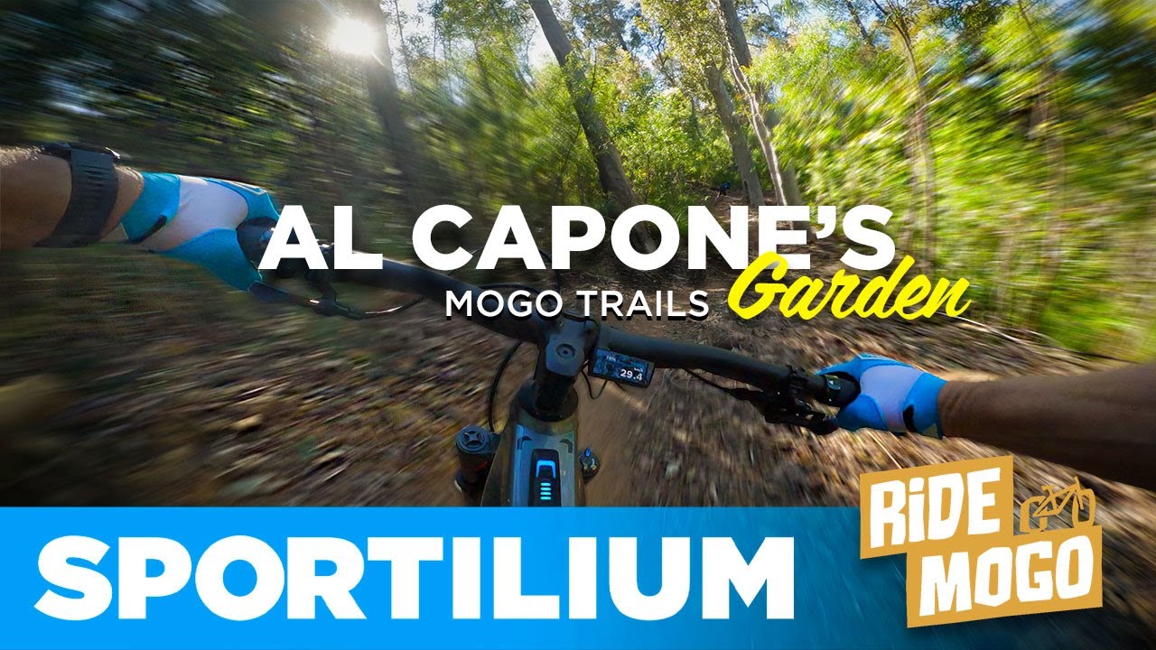Сад Аль Капоне: Tech & Flow Blue Trail на горном электровелосипеде Merida (проверка Mogo Trails)