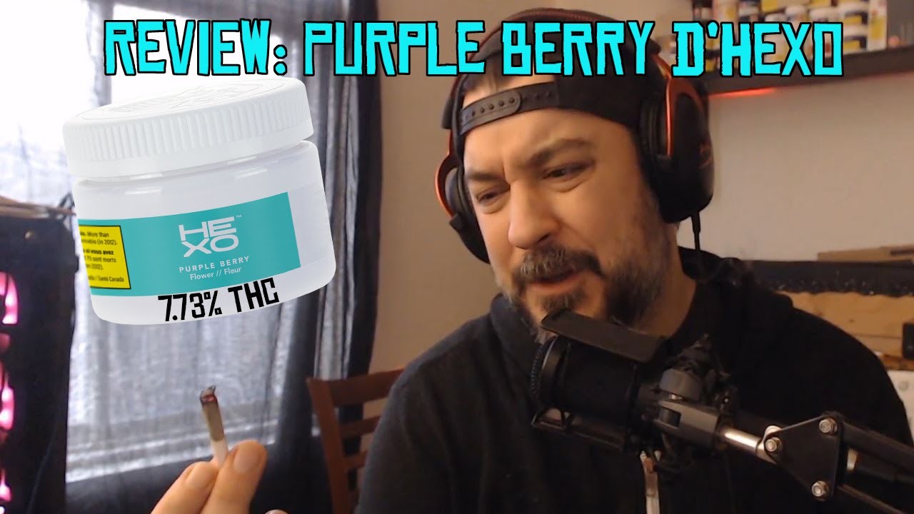 Je test du weed super faible, Le PURPLE BERRY d'Hexo 7,73% de THC (Dark Desire) SQDC Cannabis review