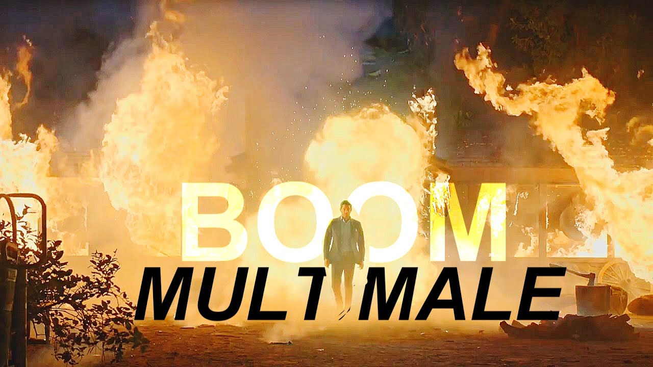 Multimale | Boom