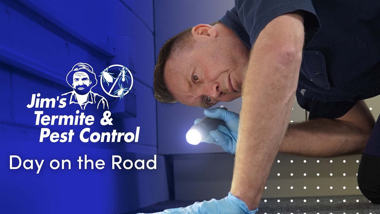 Day in the Life of a Pest Controller with James from Jim's Termite & Pest Control