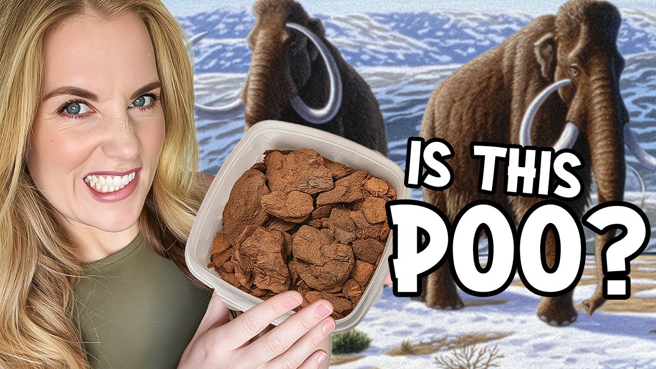 What do you know about WOOLLY MAMMOTHS? | Mystery Unboxing with Maddie
