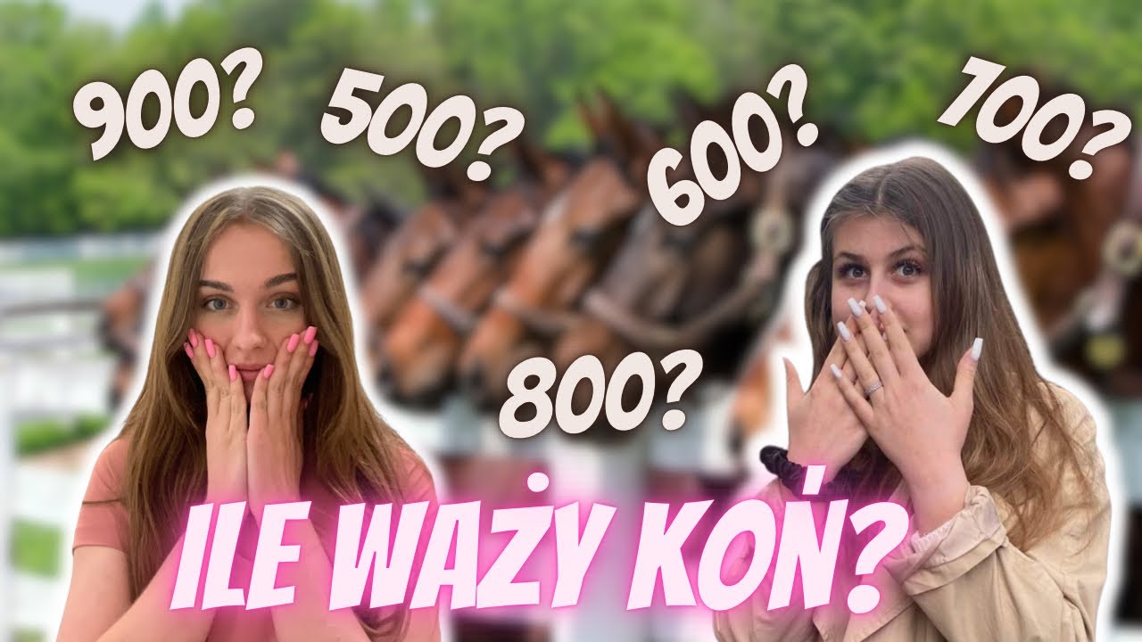 ZGADNIJ ILE WAŻĄ KONIE 🐴 - WYGRYWASZ KANTAR ESKADRONA 💗LUB OBRYWASZ JAJEM 🥚
