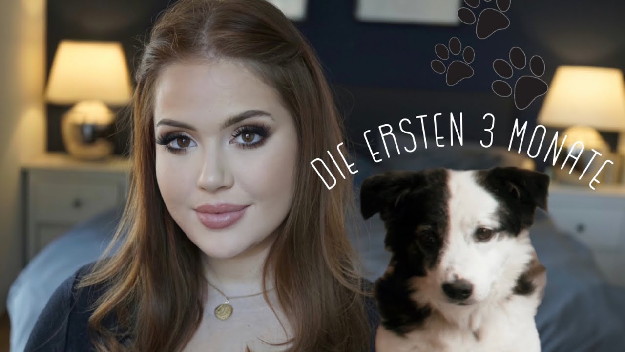 Das solltest du wissen bevor du dir einen Hund aus dem Tierschhutz/Heim holst 🐶