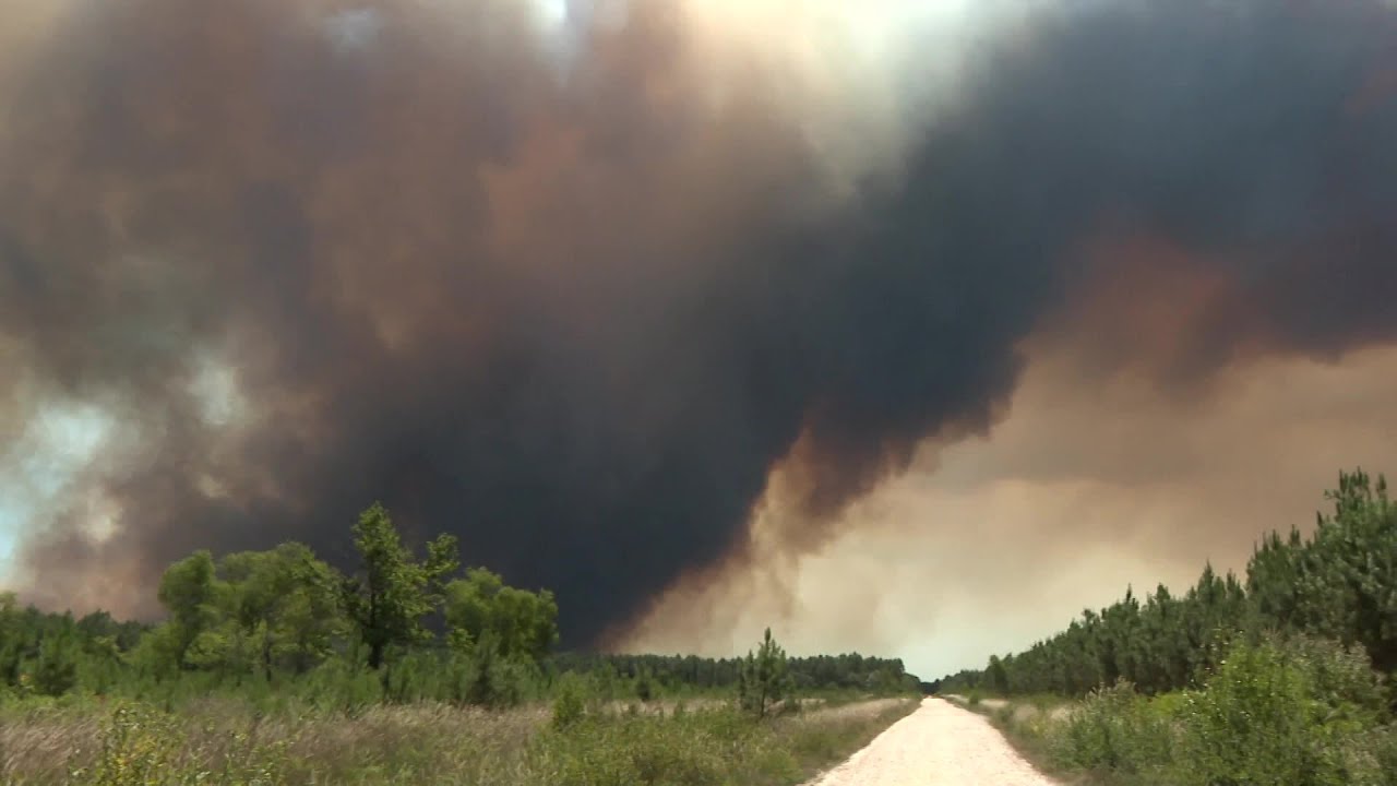 Incendie en Gironde : 1500 hectares détruits sur la commune de Landiras