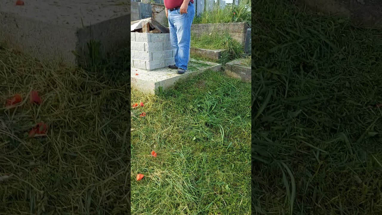 Aco Baksis-Grobno mesto