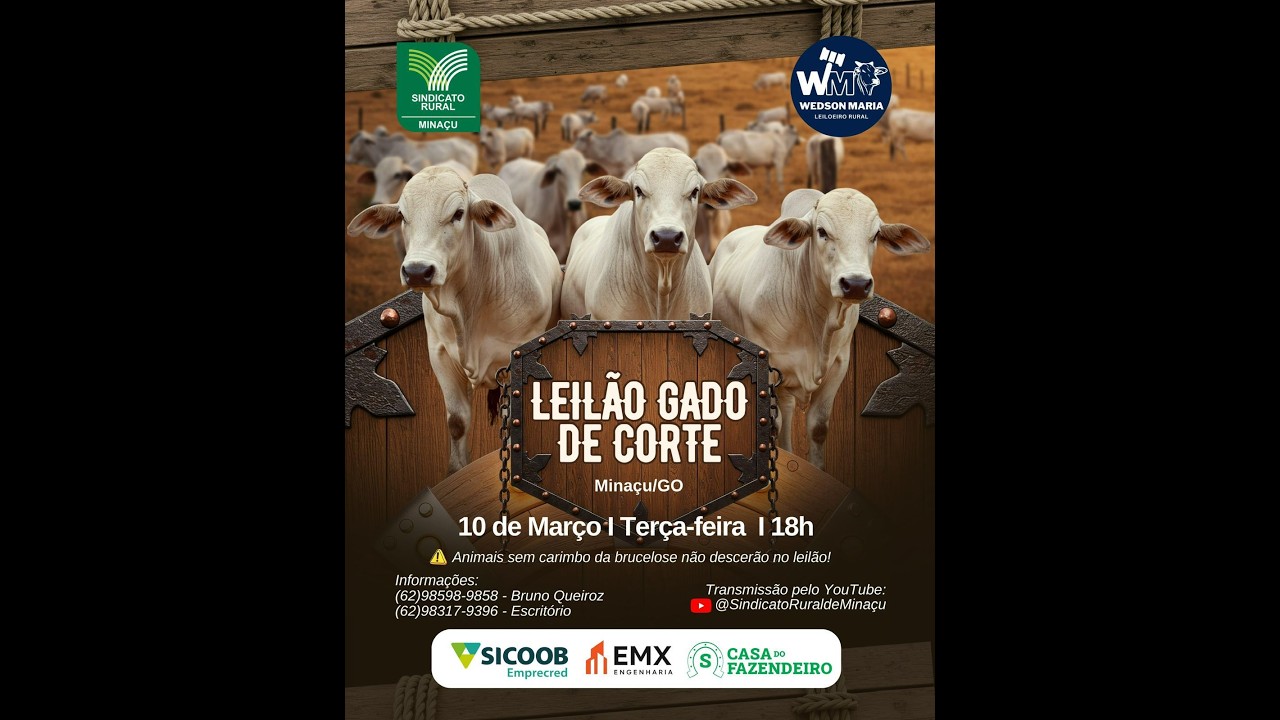 LEILÃO GADO DE CORTE - SINDICATO RURAL DE MINAÇU GO - 10/03/2026