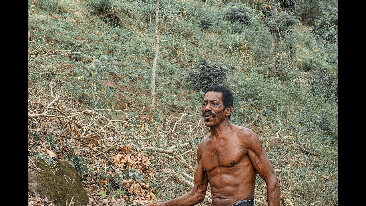 A Travel Doc for The Curious - FARMER IN ST LUCIA  | A Glimpse of Other Lives