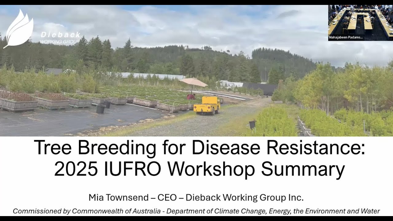 Mia Townsend - Tree Breeding for Disease Resistance: 2025 IUFRO Workshop Summary