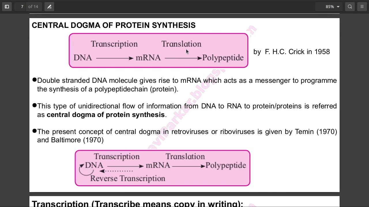 Protein synthesis - Translation | Std. XII | Biology | Lesson 4 | Molecular basis of inheritance