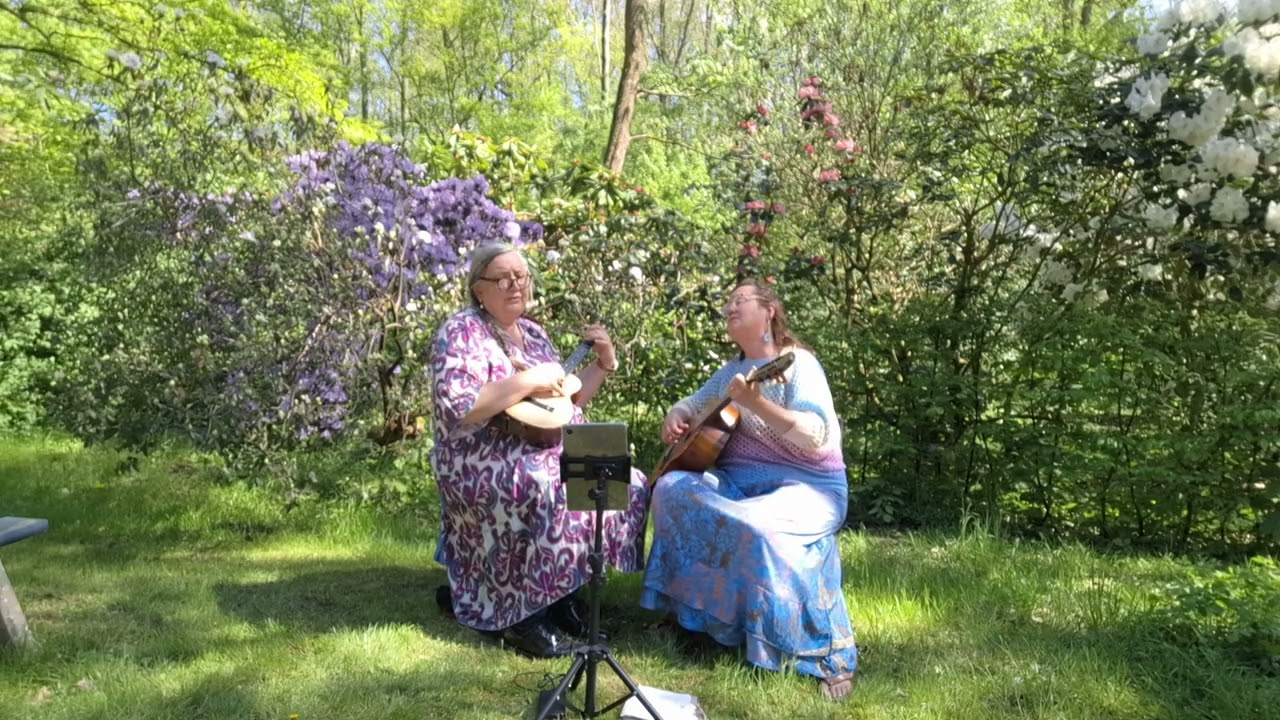 263❤️LOVE WITHIN ❤️an original of my friend Srivalli Veltjen playing the guitar .