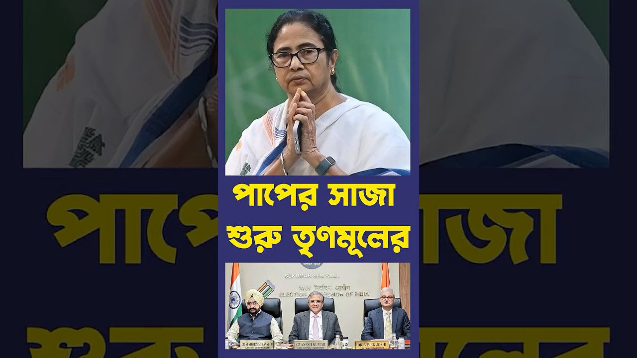 সব পাপের হিসেব শুরু, সাজাও শুরু