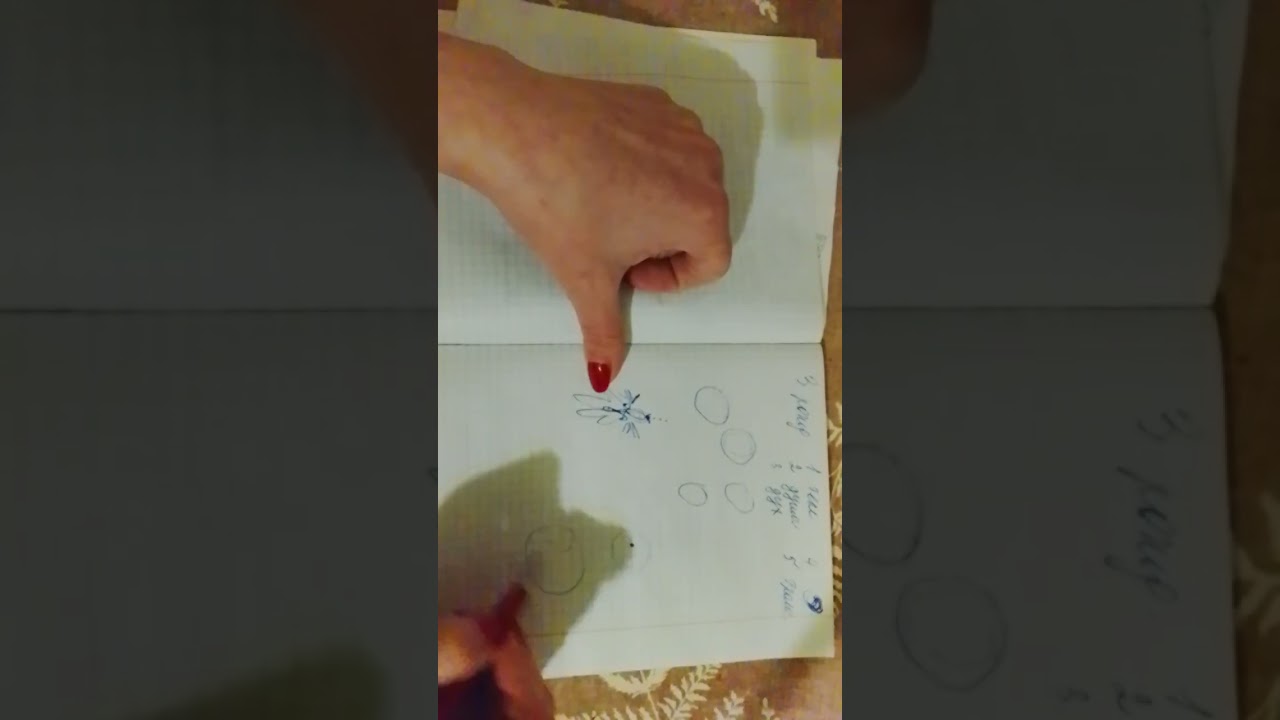 Грядущий Царь. Духовный Лидер. Трижды рождённый.