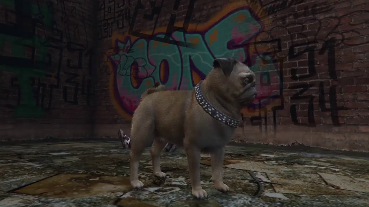 GTA Online: Pug Life Falling Down/Matrix