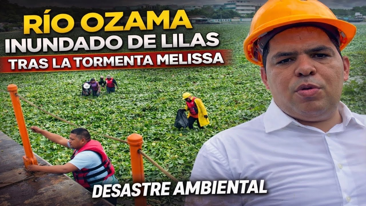 🌿 El Río Ozama se convirtió en una alfombra verde 😳 ¡Increíble lo que dejó la Tormenta Melissa!