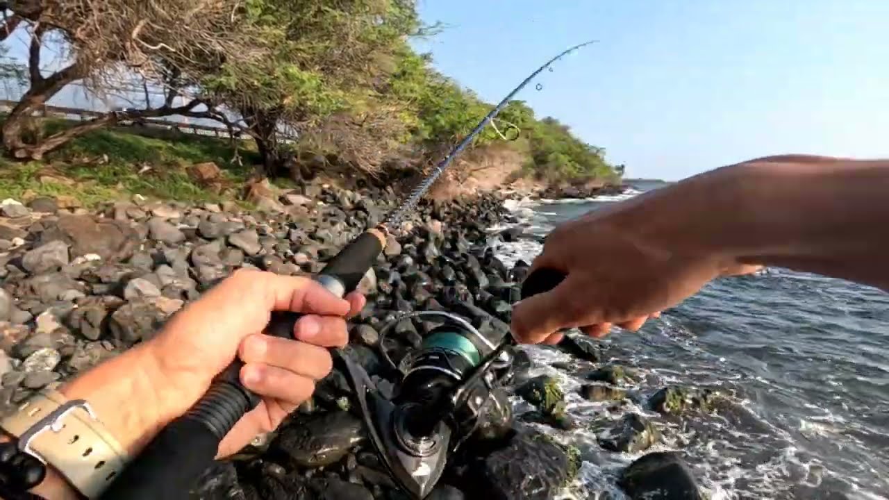 New Whipping Pole : Okuma Hawaii Custom Whipping Rod review
