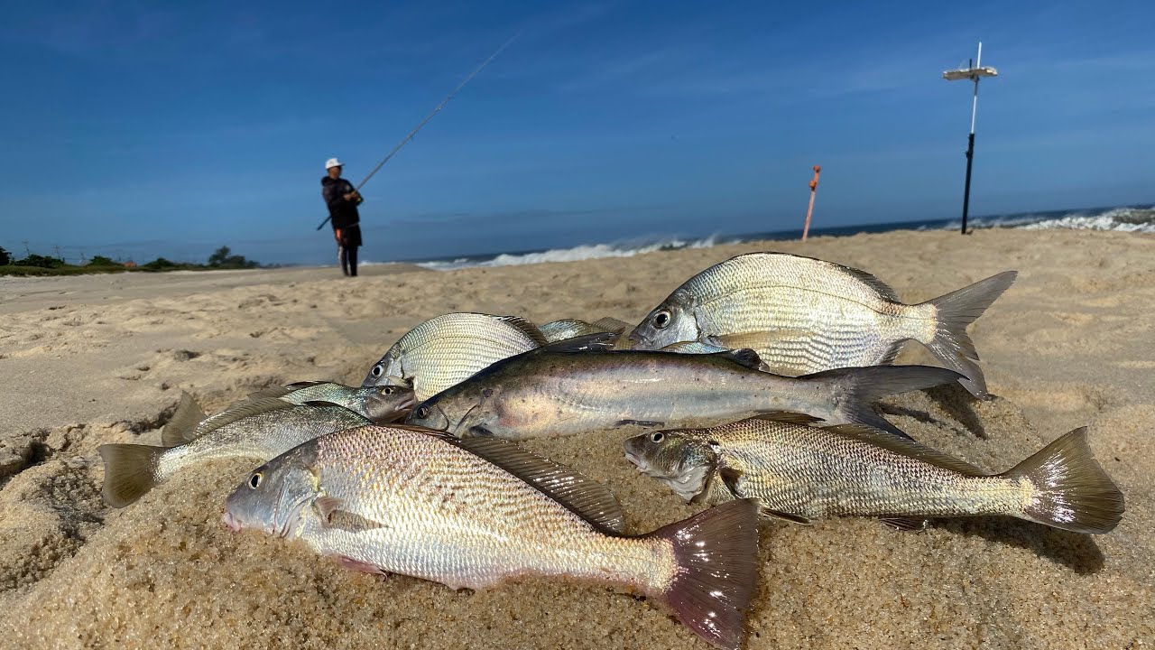 MAR AGITADO É DO QUE OS PEIXES GOSTAM.  PESCARIA DE PRAIA USANDO ATRATIVOS.