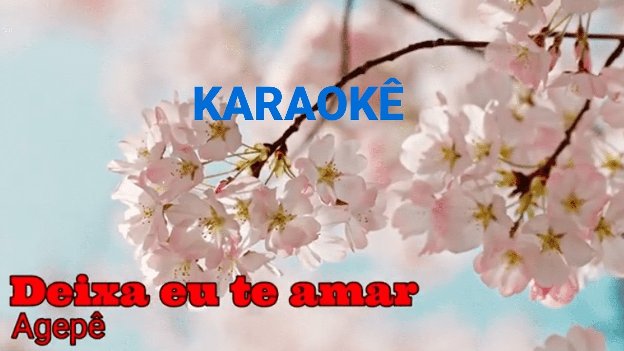 Deixa eu te amar - Agep&ecirc; | Karaok&ecirc; com Letra