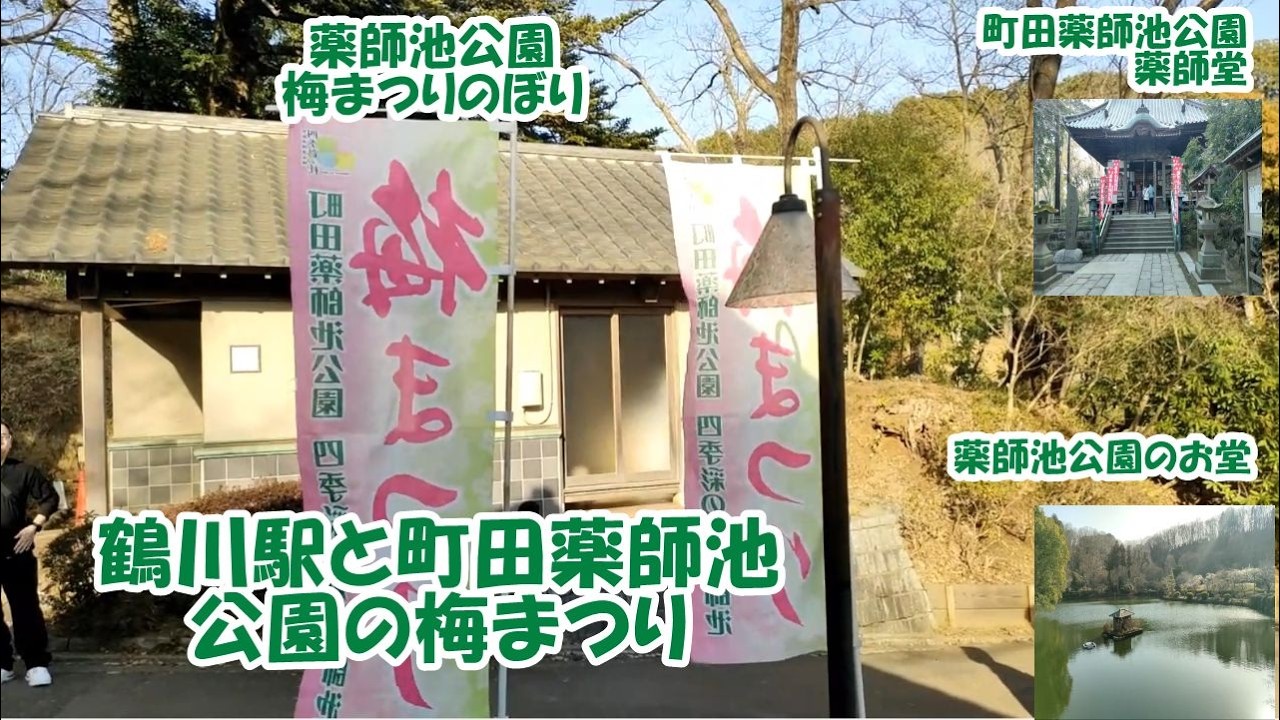 【鶴川駅と町田薬師池公園の梅まつり3】今回は、薬師池公園梅林の梅まつりを紹介しつつ、薬師池公園水車小屋や、薬師堂を巡ります。