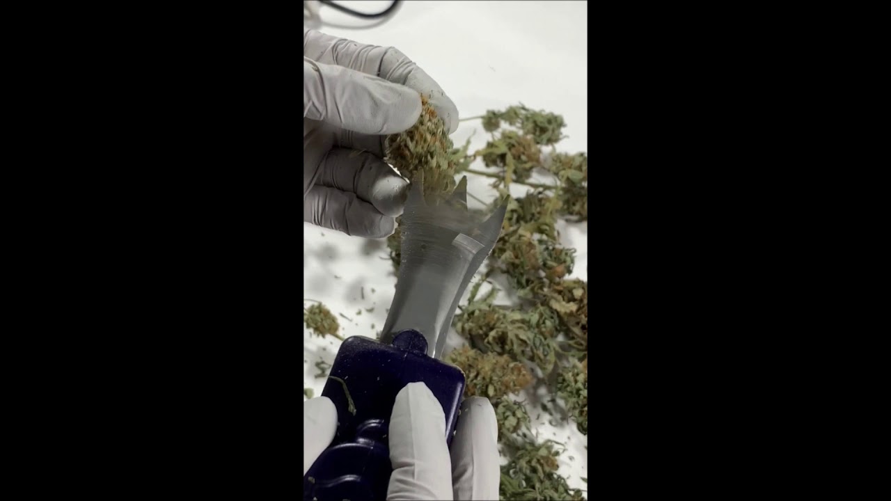 Dry Trimming Cannabis with the Trim-Daddy